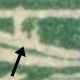 B 16 Zwei senkrechte Flecke im grünen Feld über linkem Band